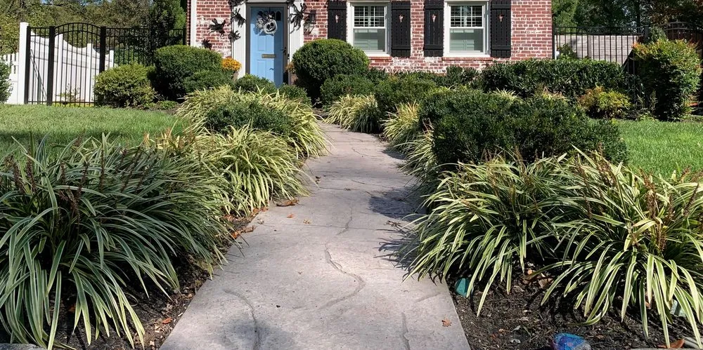 Local yard cleanup service experts serving Silver Spring, MD - Otego Valley Landscaping