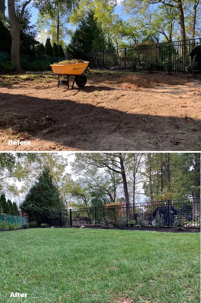 Local lawn care service in Silver Spring, MD by Otego Valley Landscaping