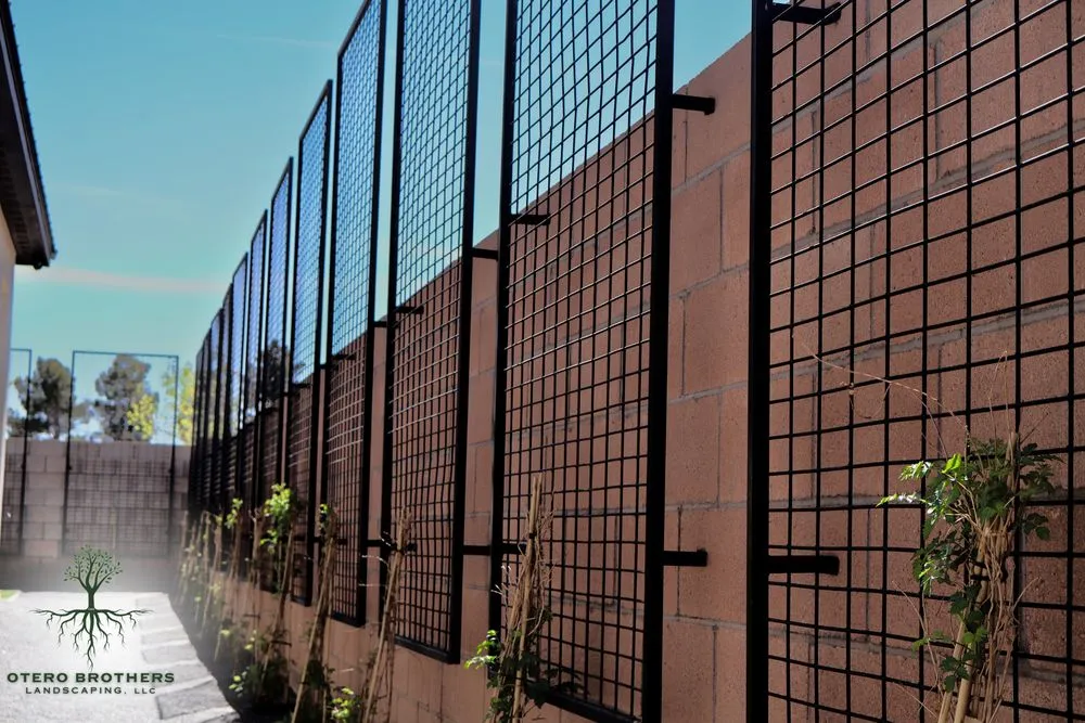 Professional yard cleanup service in Albuquerque, NM - Otero Brothers Landscaping