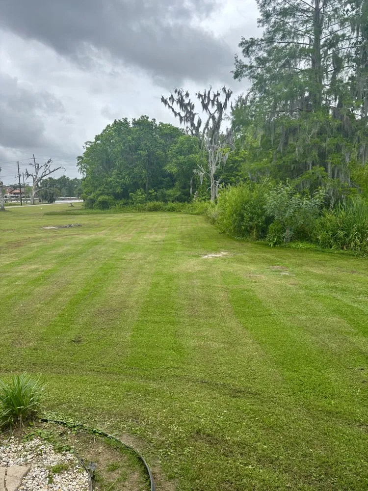 Expert landscape installation experts serving Marrero, LA - Otero Exteriors