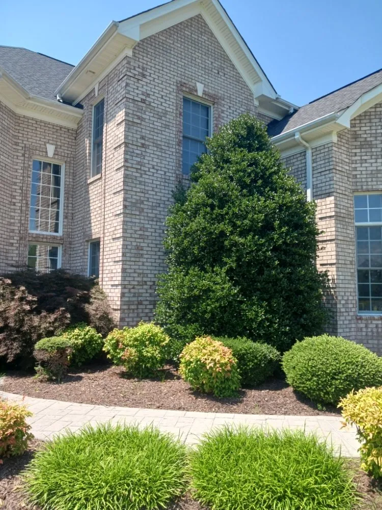 Trusted landscaping services experts serving Dunn, NC - Otero's Lawn Care & More