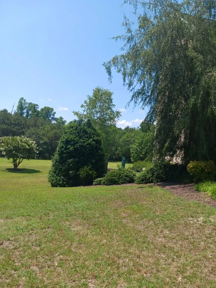 Trusted landscaping services in Dunn, NC - Otero's Lawn Care & More