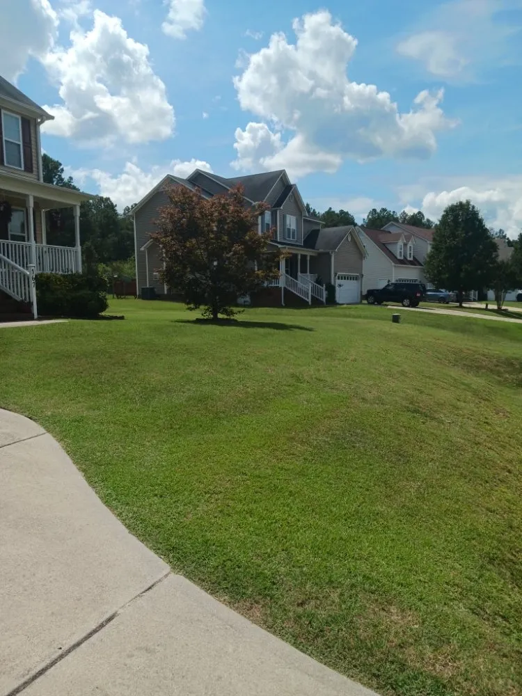 Reliable yard cleanup service in Dunn, NC - Otero's Lawn Care & More