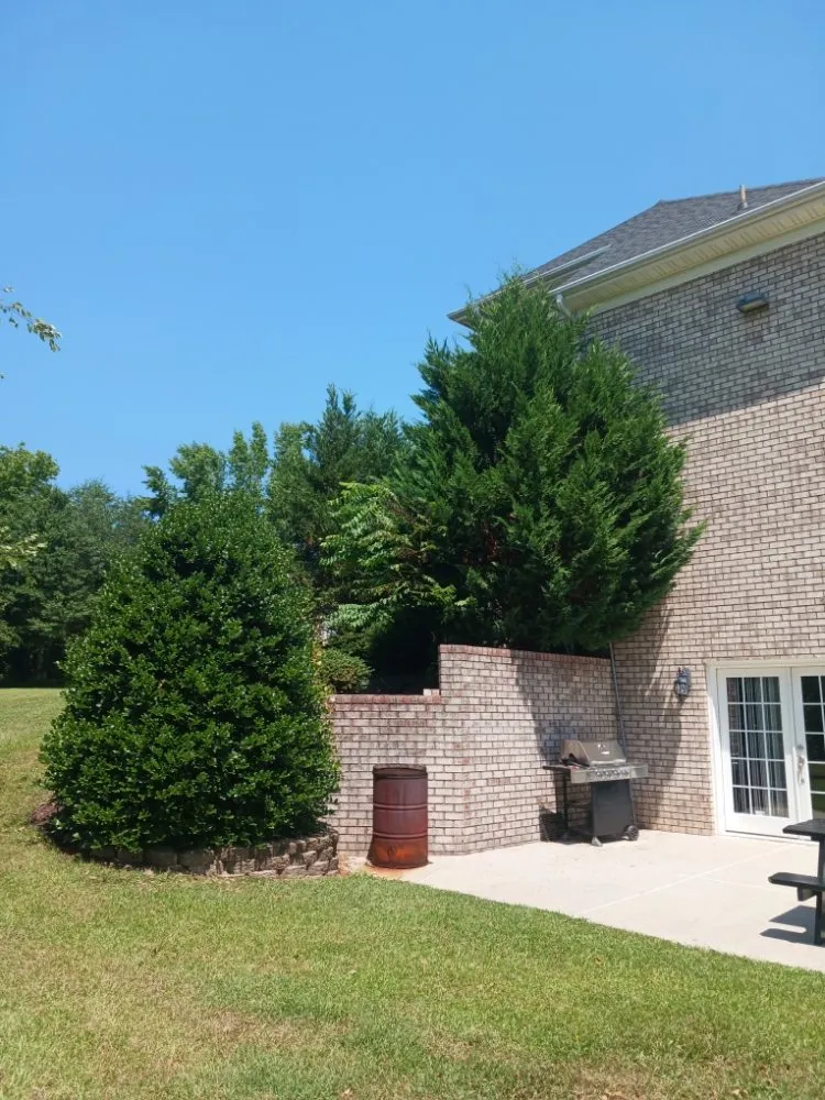 Professional yard cleanup service experts serving Dunn, NC - Otero's Lawn Care & More