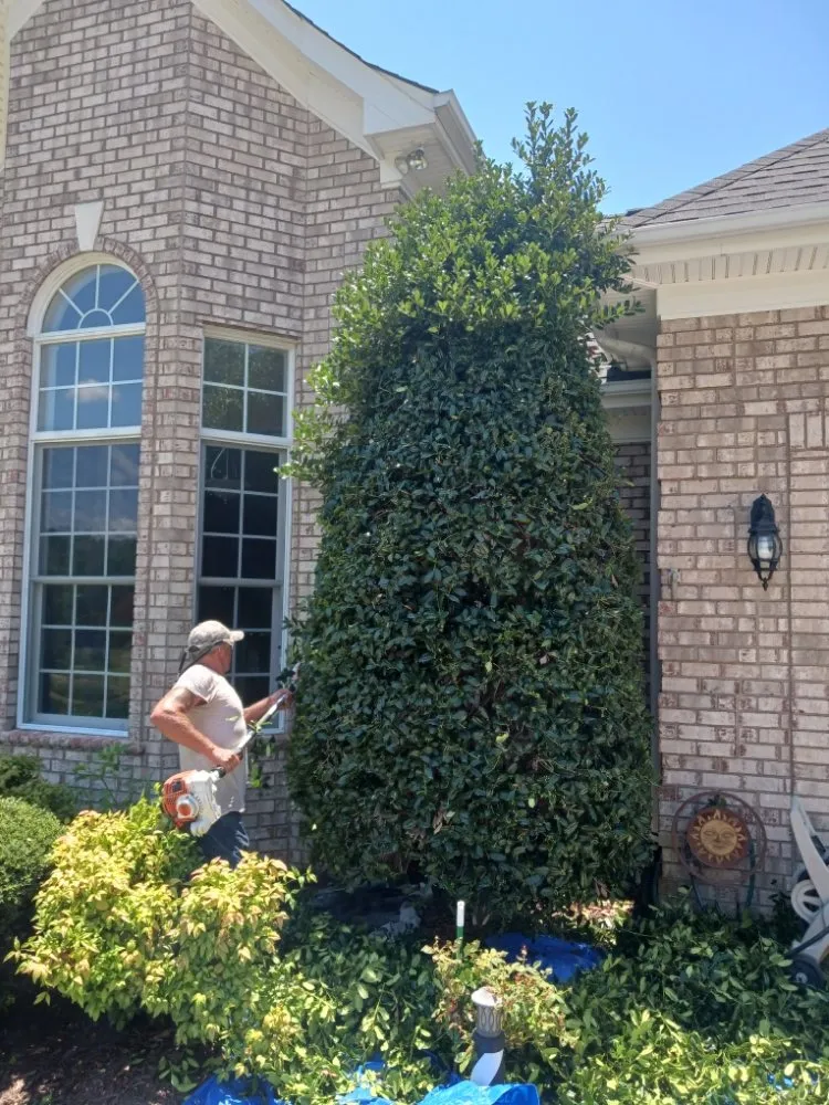 Local yard maintenance experts serving Dunn, NC - Otero's Lawn Care & More