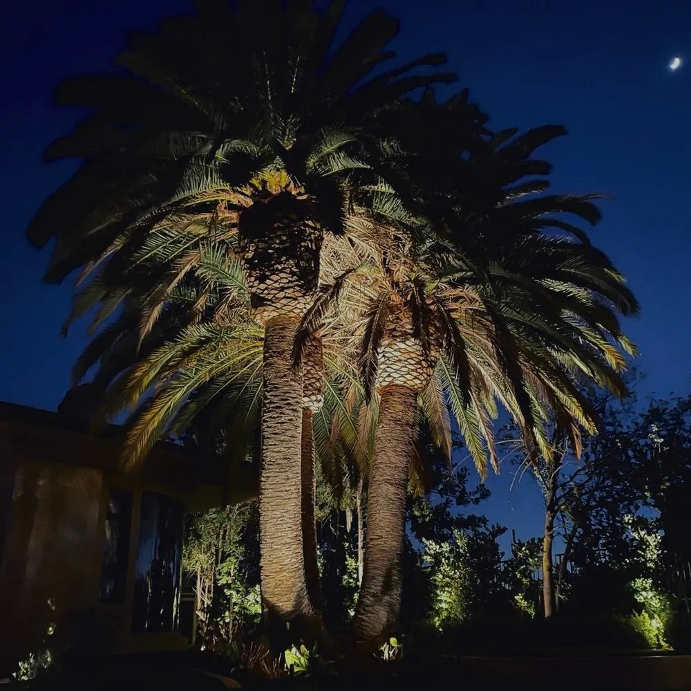 Affordable yard cleanup service in Laguna Hills, CA by Other Brothers Landscaping and Lighting