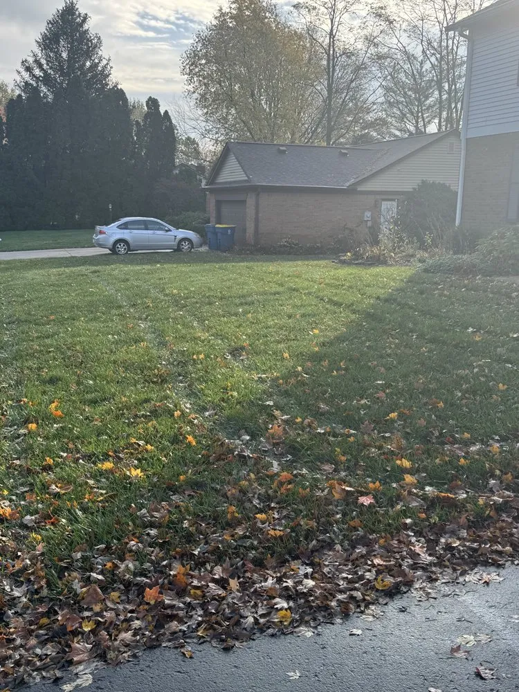Local yard cleanup service for residential properties across Indianapolis, IN - Other Side Lawn Care