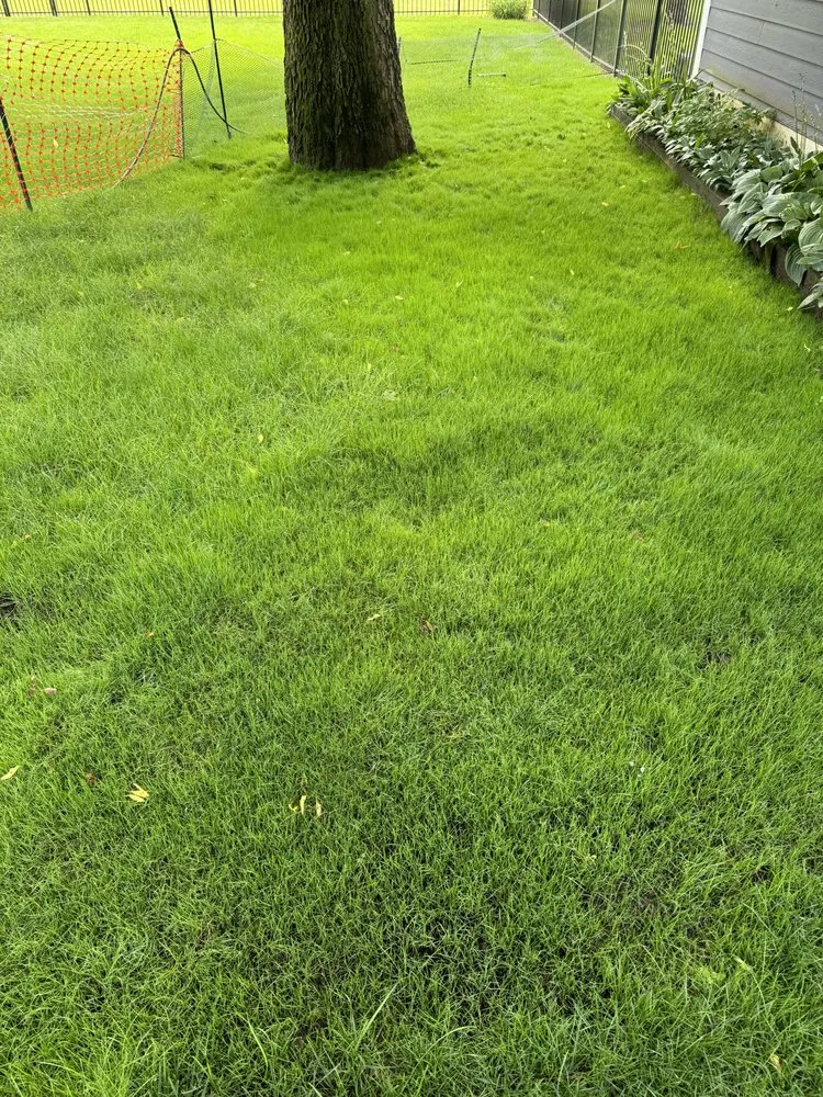 Top-rated landscaping services for outdoor upgrades across Indianapolis, IN - Other Side Lawn Care