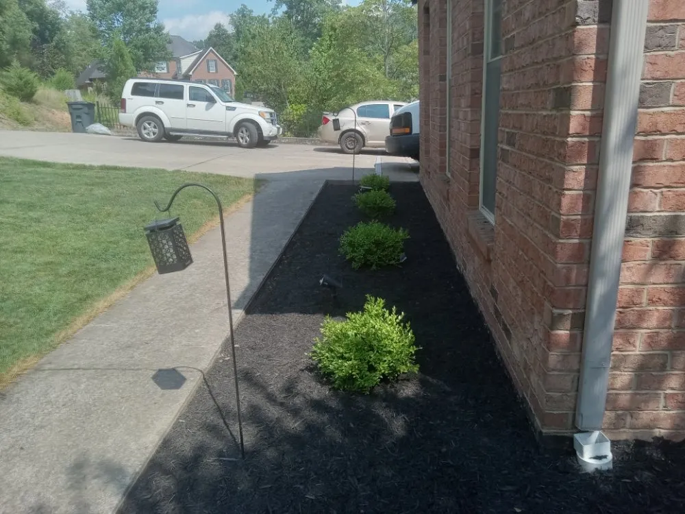 Trusted residential landscaping in Charleston, WV - Otherside Guide