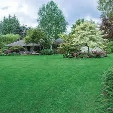 Professional lawn care service experts serving Casper, WY - Otherside Landscape Company