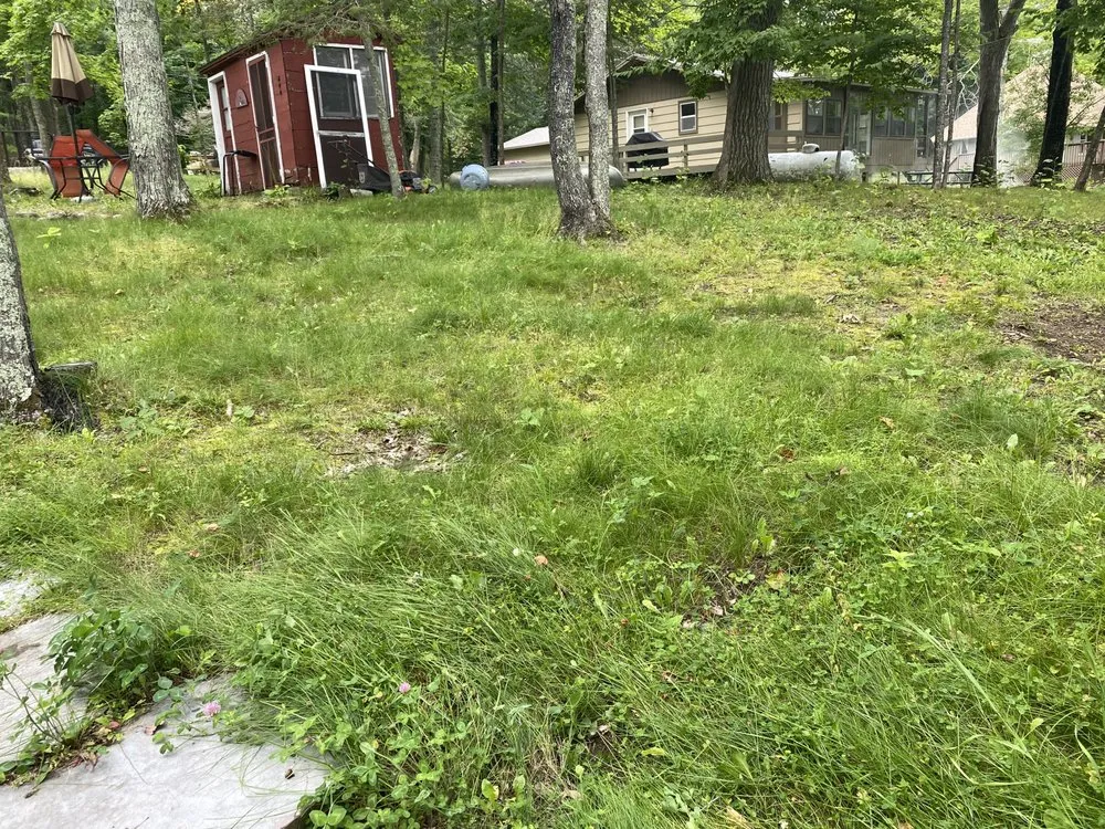 Expert lawn care service near you in Emily, MN by OTHO Property Maintenance Services