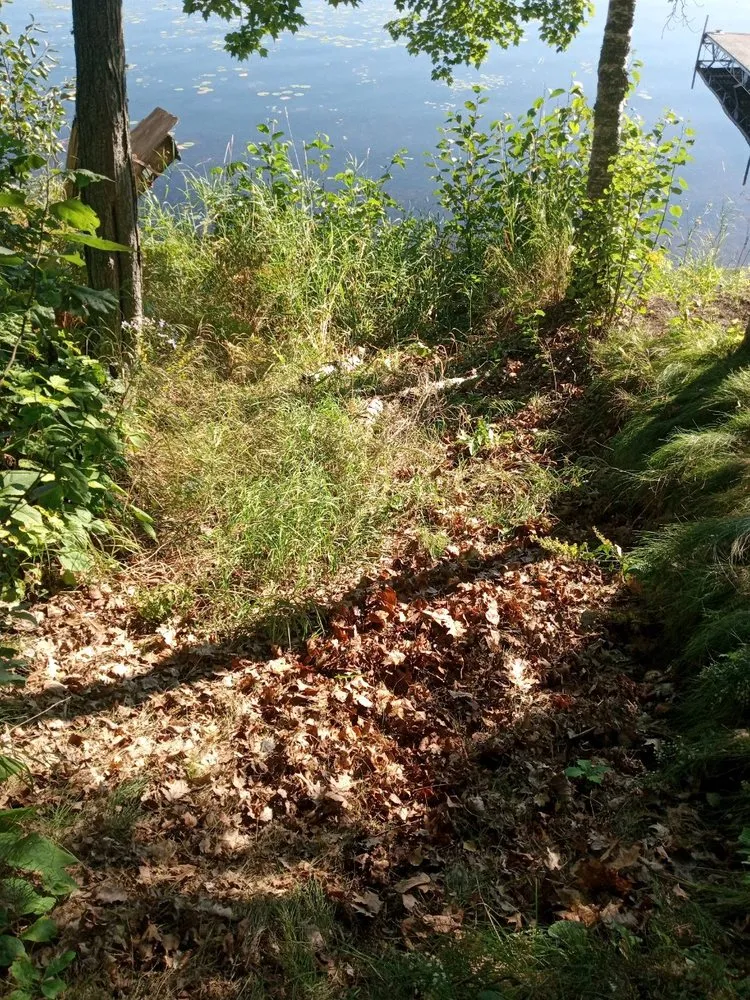 Local landscape design in Emily, MN - OTHO Property Maintenance Services