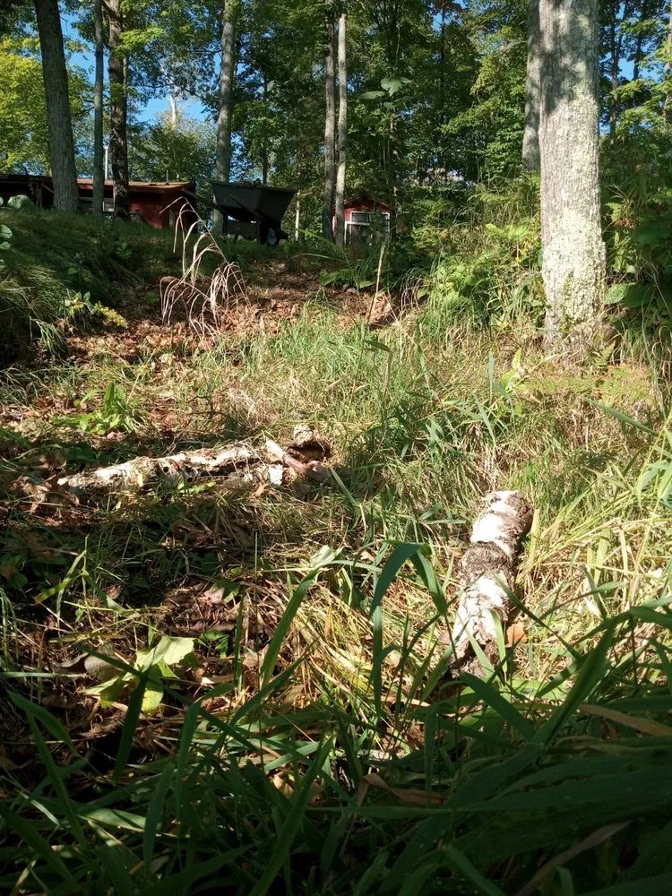 Reliable lawn care service for outdoor upgrades in Emily, MN by OTHO Property Maintenance Services
