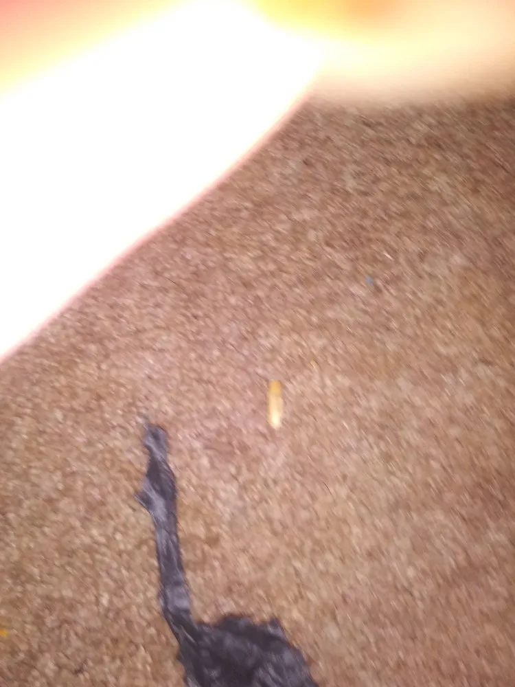 Expert garden landscaping experts serving Randleman, NC - Otho's Pest Management