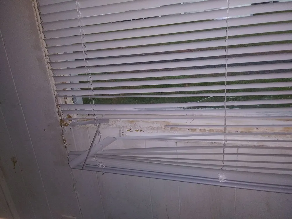 Custom outdoor landscaping in Randleman, NC - Otho's Pest Management