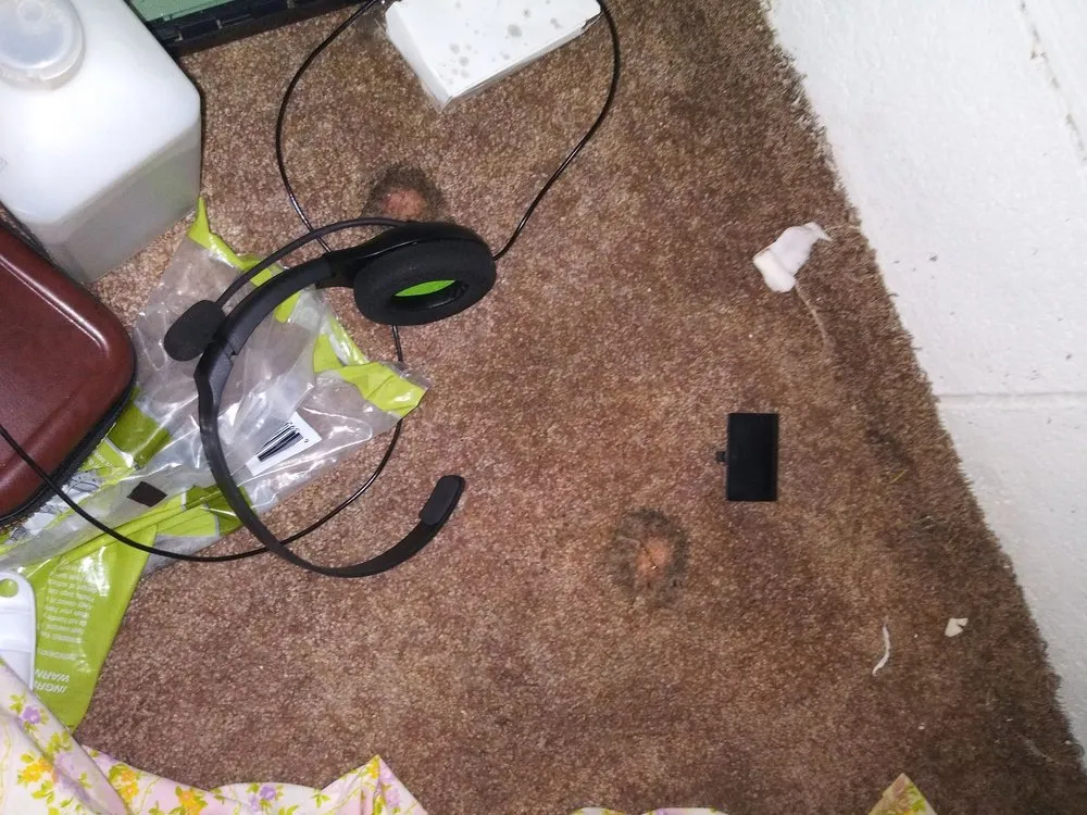 Affordable residential landscaping for year-round maintenance across Randleman, NC - Otho's Pest Management