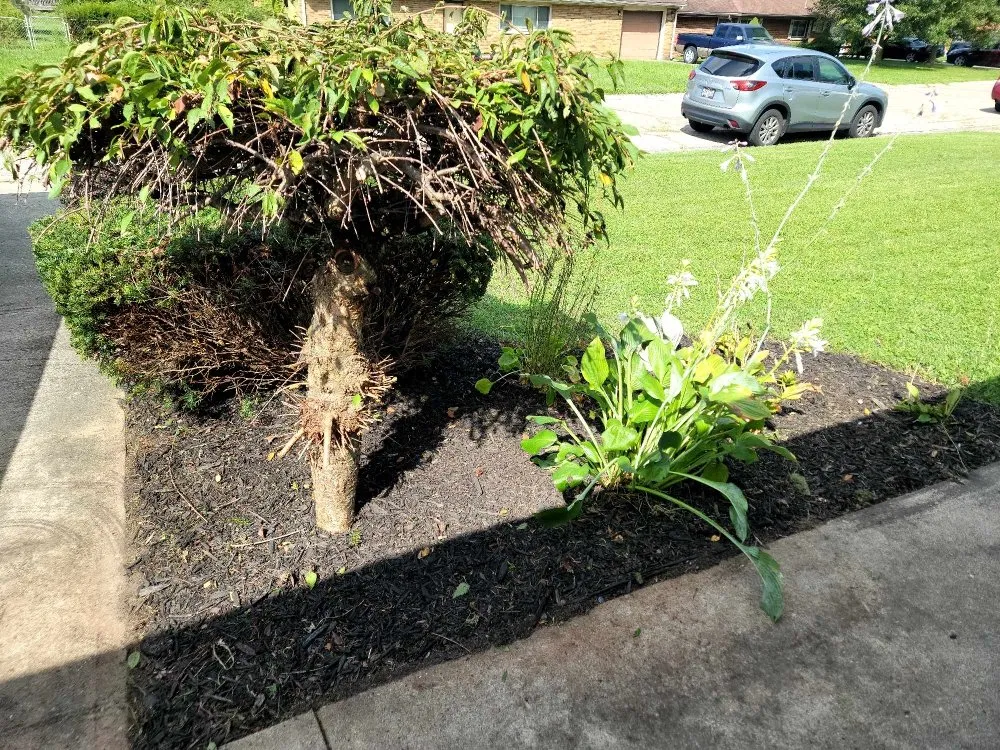 Professional lawn mowing service in Vinton, OH - Otis Gardens