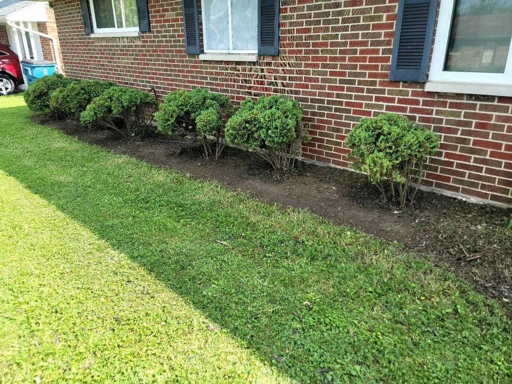 Expert lawn care service for beautiful yards across Vinton, OH - Otis Gardens