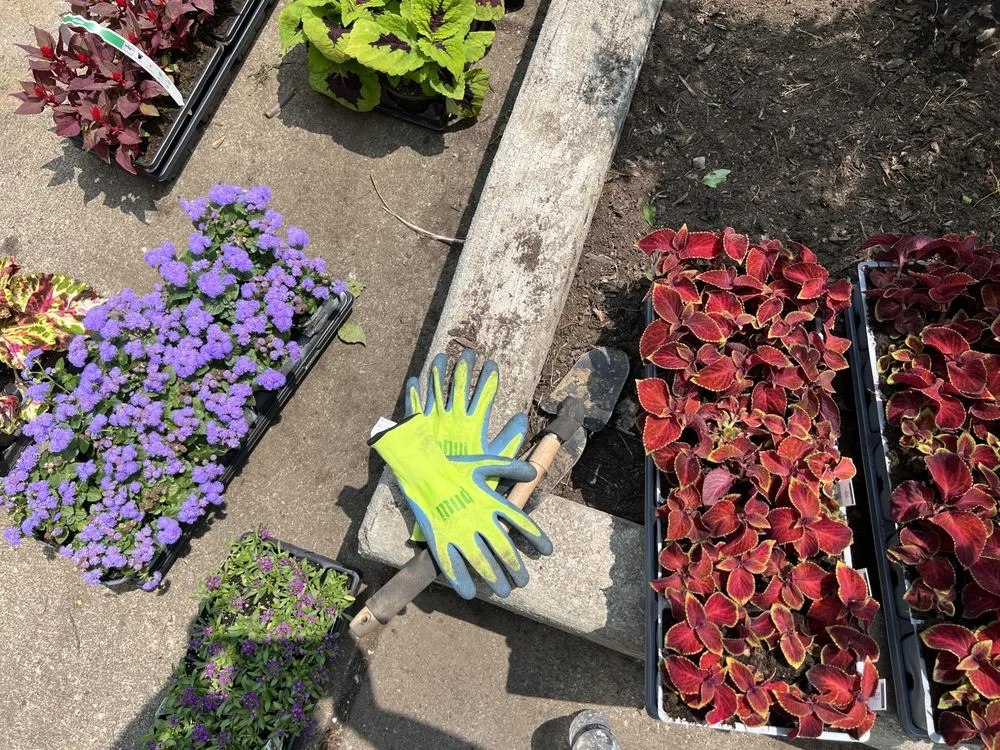 Professional landscape design experts serving Columbus, OH - OTM Property Solutions