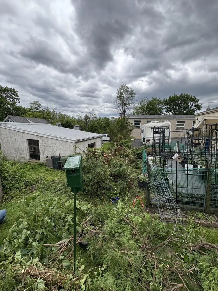 Trusted landscaping services for beautiful yards across Fountain Hill, PA - OTM Services