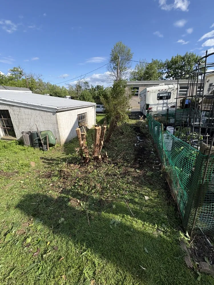 Trusted landscaping services experts serving Fountain Hill, PA - OTM Services