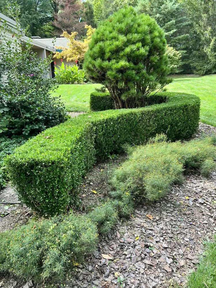 Reliable lawn mowing service experts serving Cincinnati, OH - Ott Simply Green Lawn Care