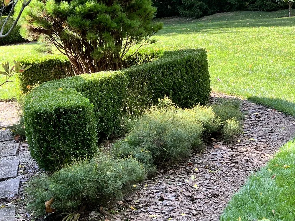Local outdoor landscaping in Cincinnati, OH by Ott Simply Green Lawn Care