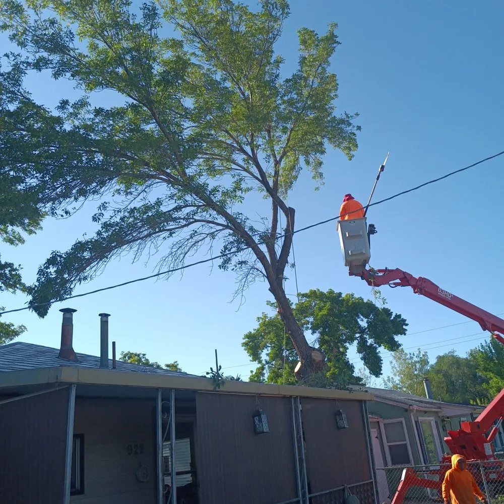 Custom landscape installation in Magna, UT - Ott Tree Services and Landscaping