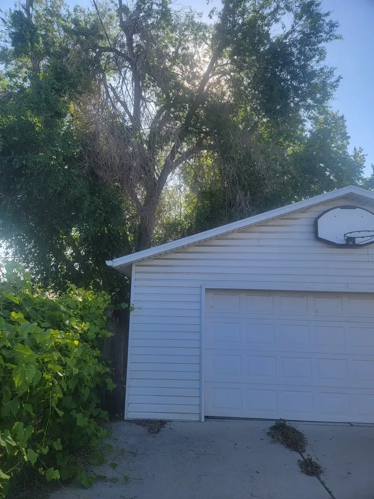 Reliable lawn care service in Magna, UT - Ott Tree Services and Landscaping