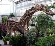 Local yard cleanup service near you in Long Lake, MN by Otten Bros Garden Center & Landscaping