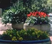 Professional garden landscaping experts serving Long Lake, MN - Otten Bros Garden Center & Landscaping