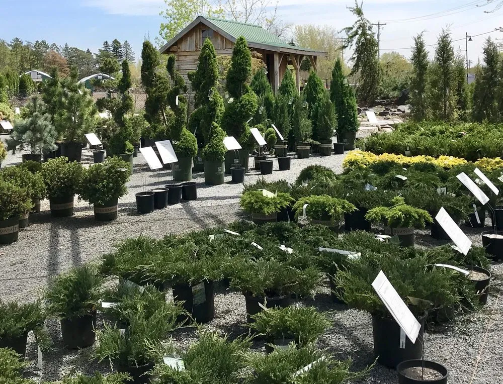 Expert landscape design for residential properties across Long Lake, MN - Otten Bros Garden Center & Landscaping