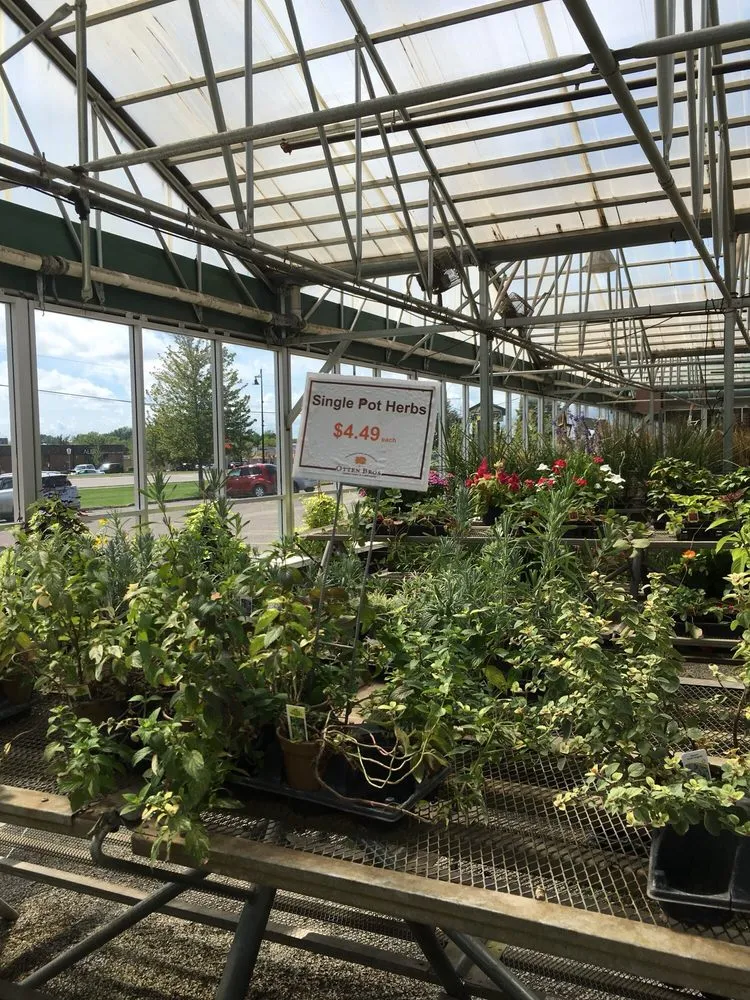 Trusted lawn care service for year-round maintenance in Long Lake, MN by Otten Bros Garden Center & Landscaping