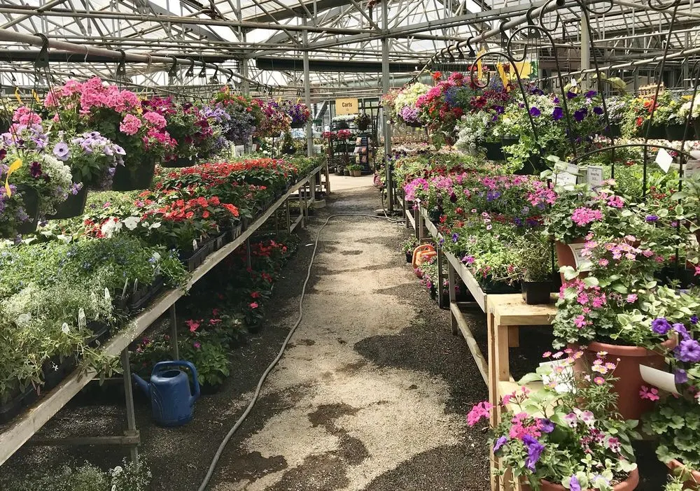 Top-rated landscape installation for homes across Long Lake, MN - Otten Bros Garden Center & Landscaping