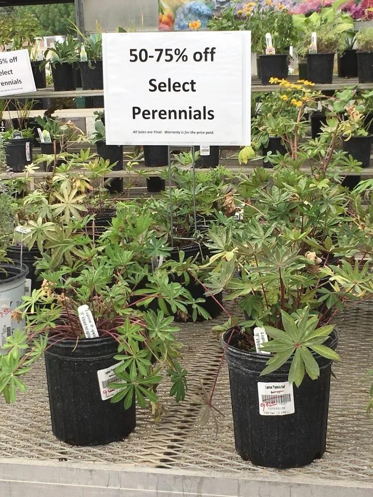 Trusted outdoor landscaping experts serving Long Lake, MN - Otten Bros Garden Center & Landscaping