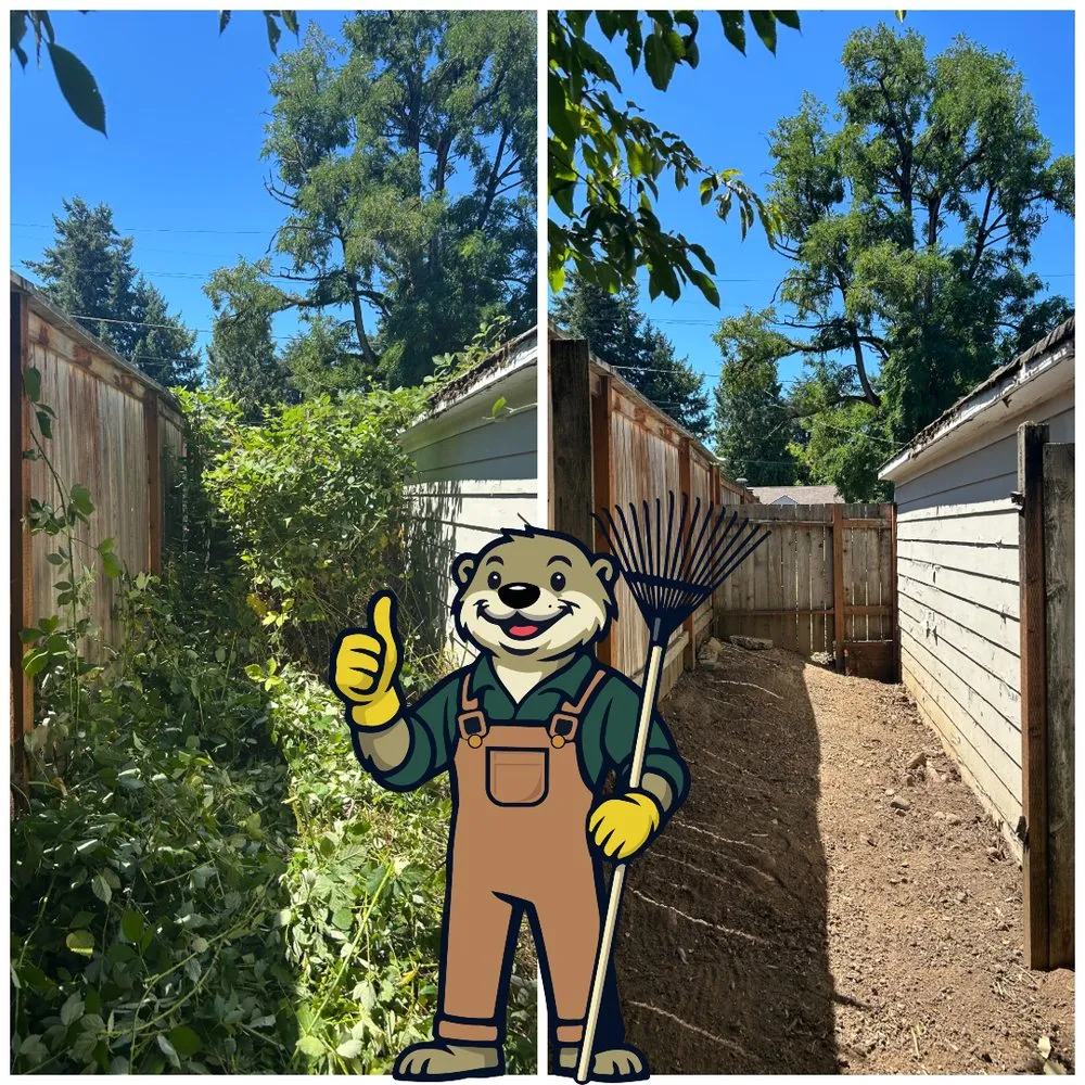 Professional outdoor landscaping experts serving Tualatin, OR - Otter Landscapes
