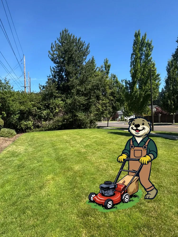 Trusted yard cleanup service in Tualatin, OR by Otter Landscapes
