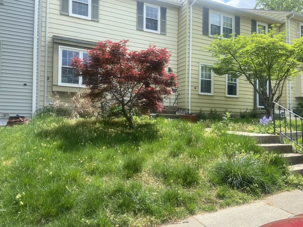 Professional lawn care service in Spotsylvania Courthouse, VA - Otter’s Landscaping