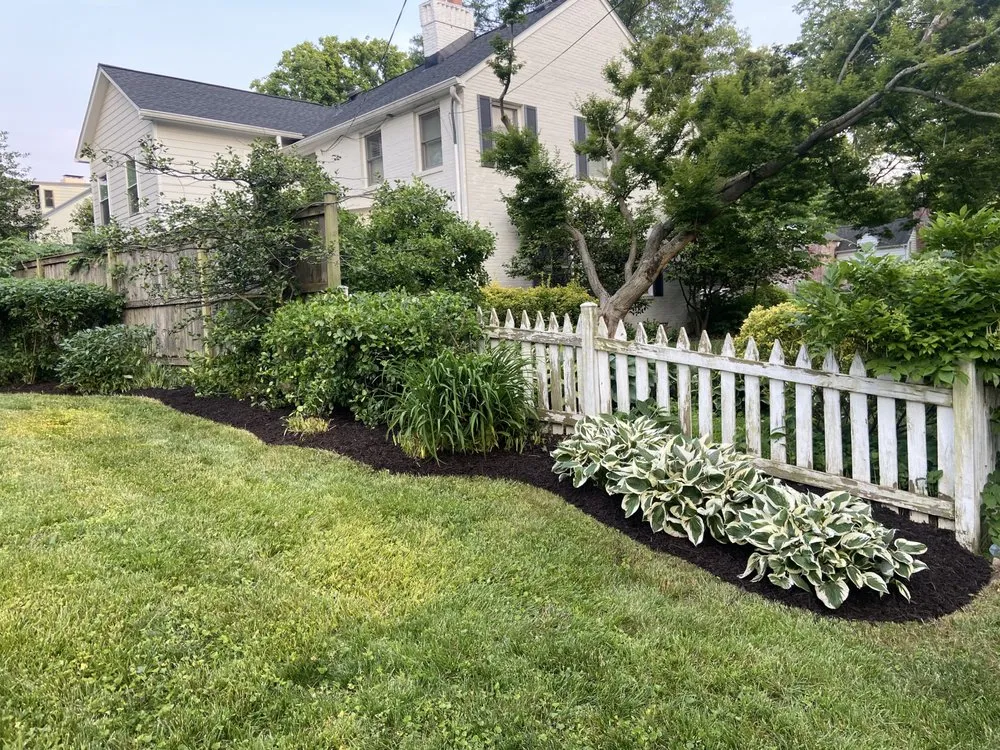 Expert yard maintenance for residential properties across Spotsylvania Courthouse, VA - Otter’s Landscaping