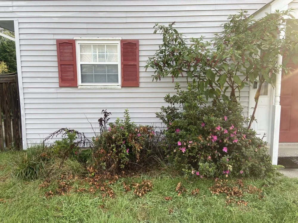 Custom landscape installation for year-round maintenance across Spotsylvania Courthouse, VA - Otter’s Landscaping