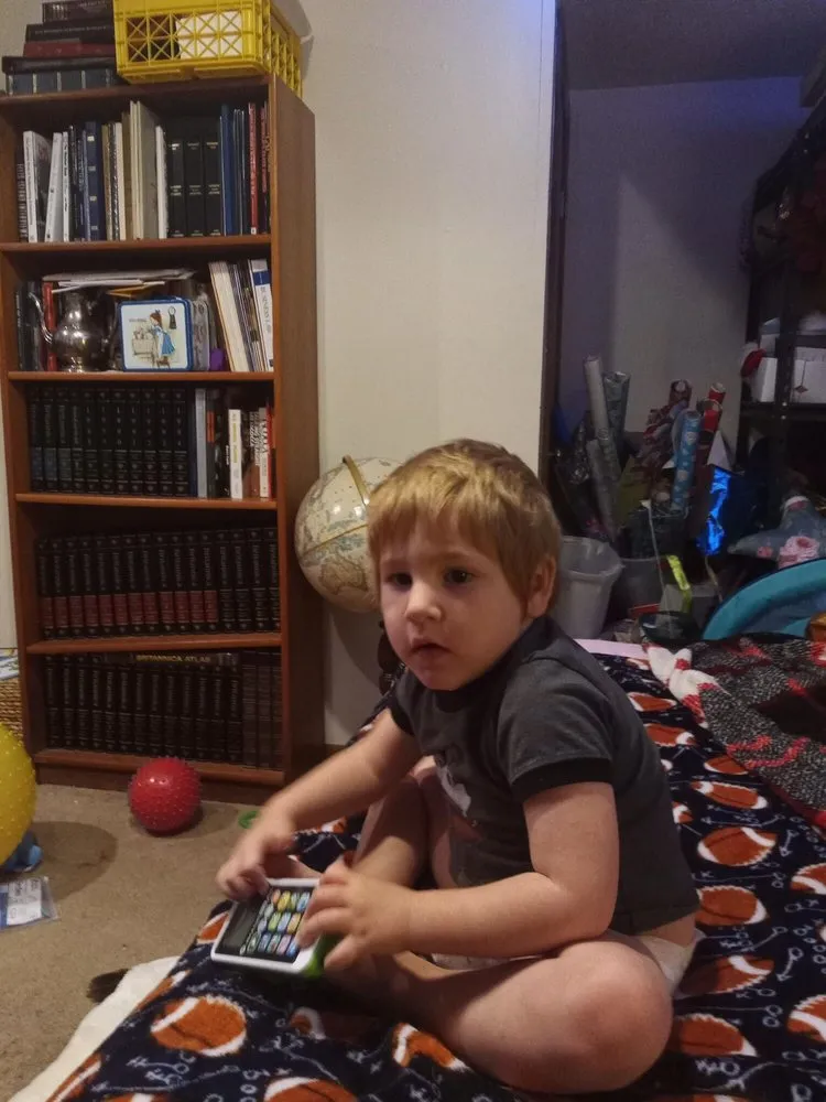 Custom yard maintenance for outdoor upgrades across Greenville, SC - Ottesen and Sons