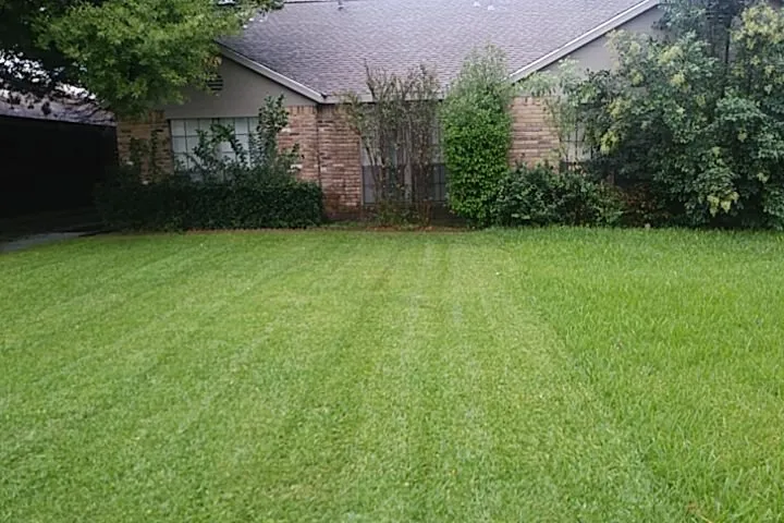 Trusted landscape design for beautiful yards across Greenville, SC - Ottesen and Sons