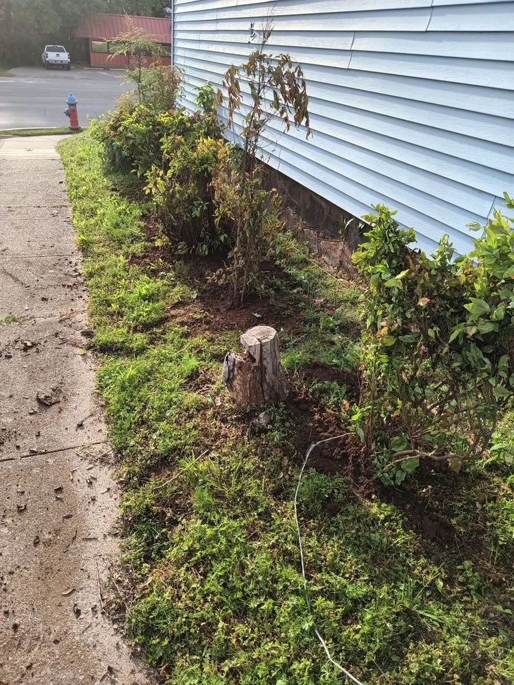 Top-rated residential landscaping experts serving Stillwater, OK - Otto Mario Garcia Hernandez