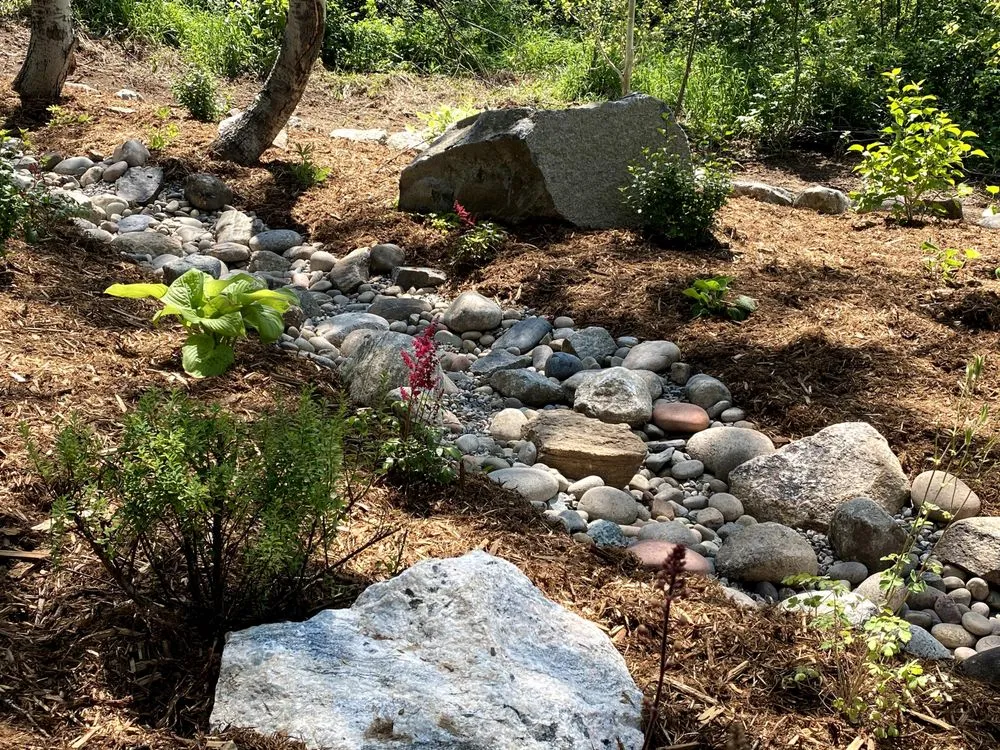 Affordable lawn care service experts serving Oak Creek, CO - Otto Scapes