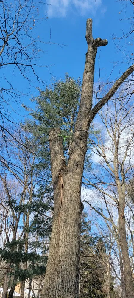 Top-rated garden landscaping in Waterford, MI by Otto Tree Service