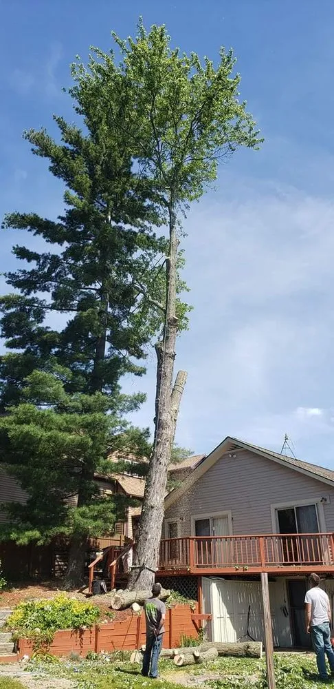 Reliable landscape design in Waterford, MI - Otto Tree Service