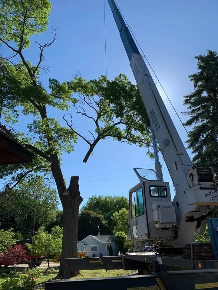 Reliable garden landscaping for outdoor upgrades in Waterford, MI by Otto Tree Service