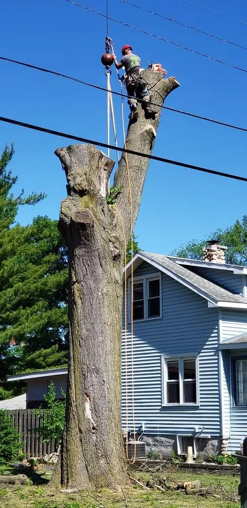 Professional outdoor landscaping for residential properties across Waterford, MI - Otto Tree Service