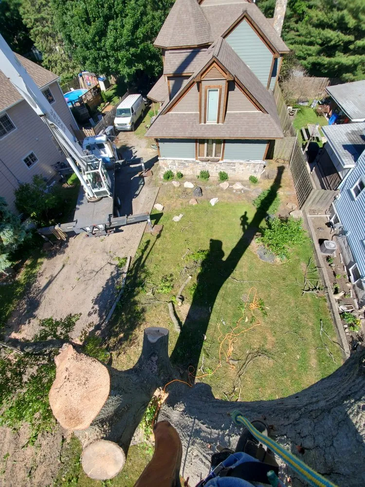 Professional residential landscaping for beautiful yards in Waterford, MI by Otto Tree Service