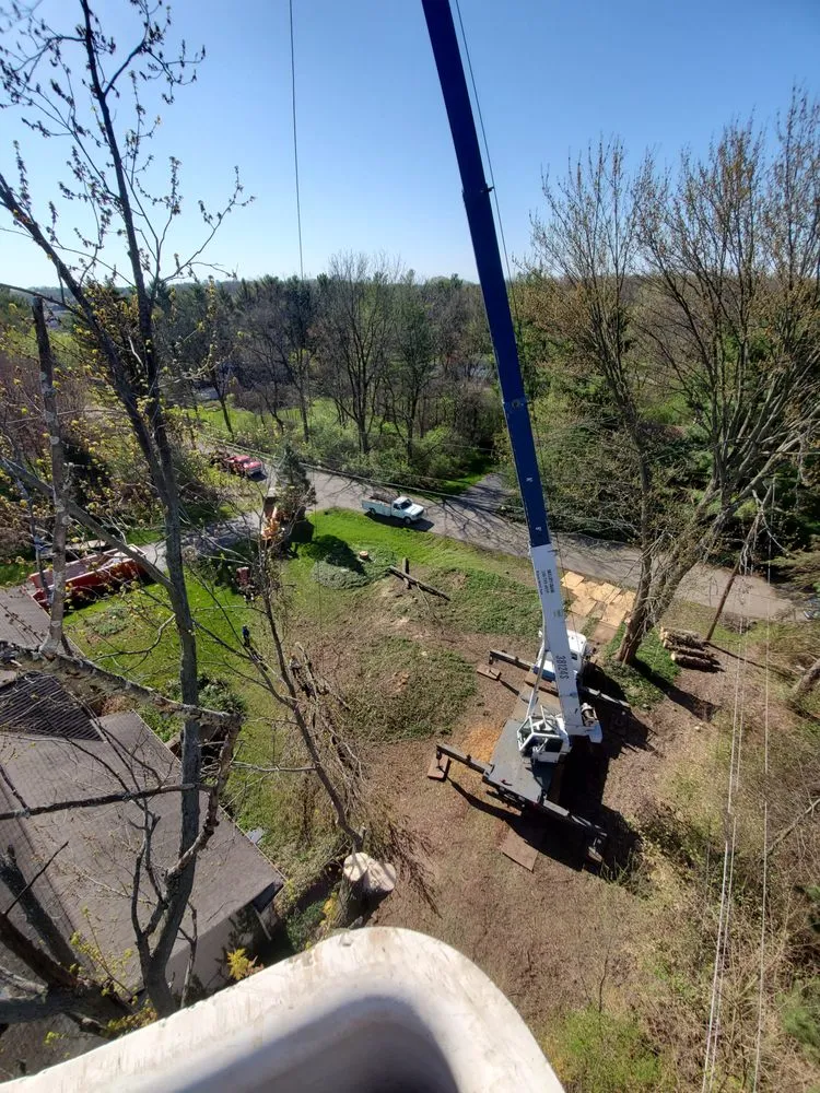 Top-rated yard cleanup service for outdoor upgrades across Waterford, MI - Otto Tree Service